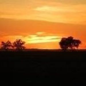 Meet your Posher, Donny